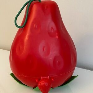🍓 Vintage 1980 Strawberry Shortcake “Big Berry” Carry Case 🍓